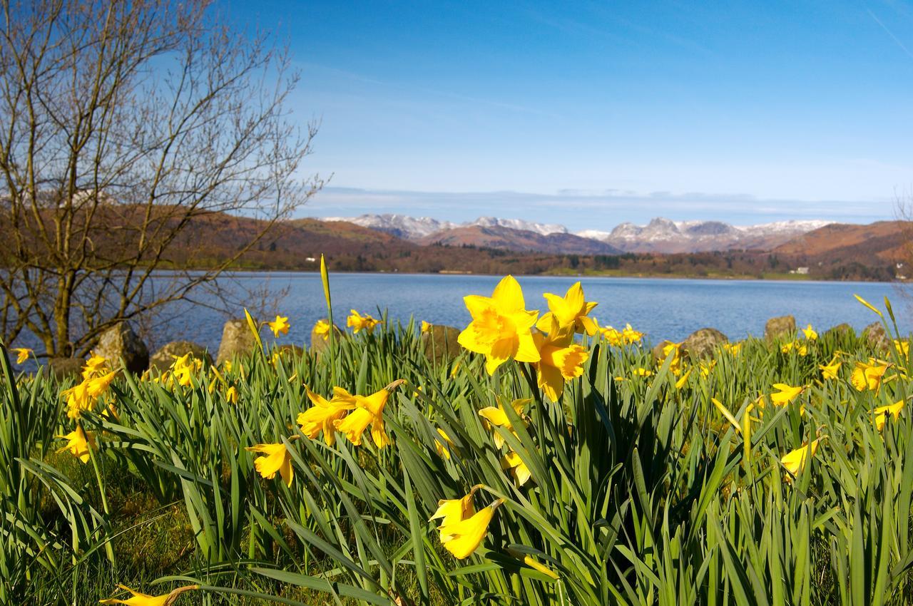 Ivythwaite Lodge Guest House วินเดอร์เมียร์ ภายนอก รูปภาพ