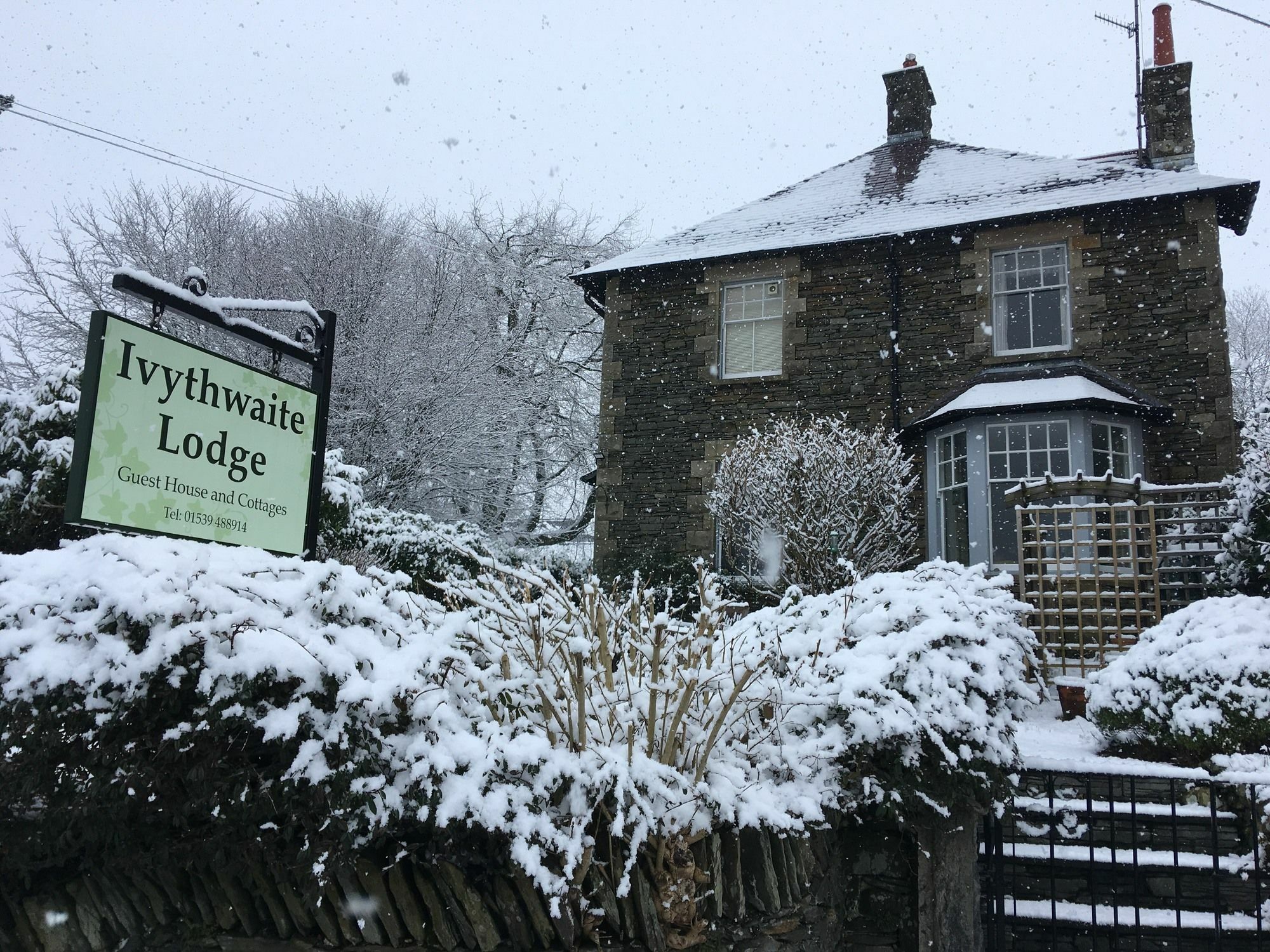 Ivythwaite Lodge Guest House วินเดอร์เมียร์ ภายนอก รูปภาพ